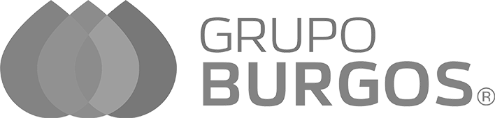 Grupo burgos